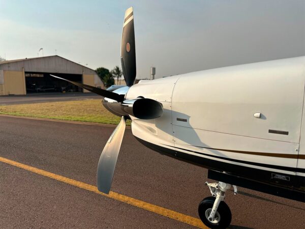 TBM 850 Ano 2014 - Image 10